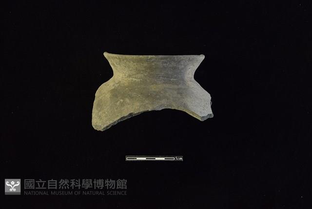 陶罐藏品圖，第1張