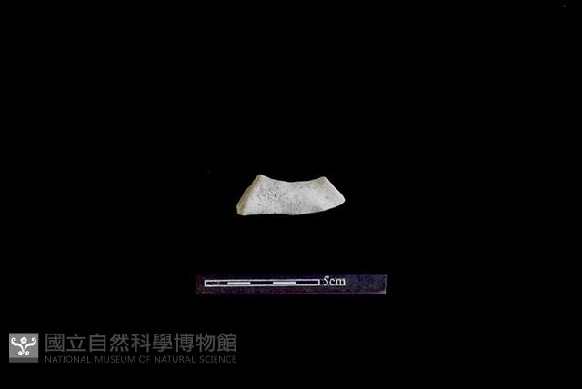 陶把藏品圖，第1張