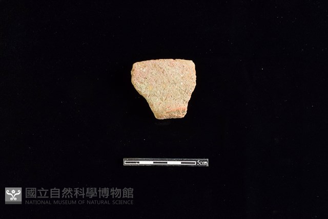 陶罐藏品圖，第1張