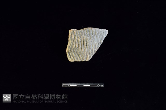 陶片藏品圖，第1張