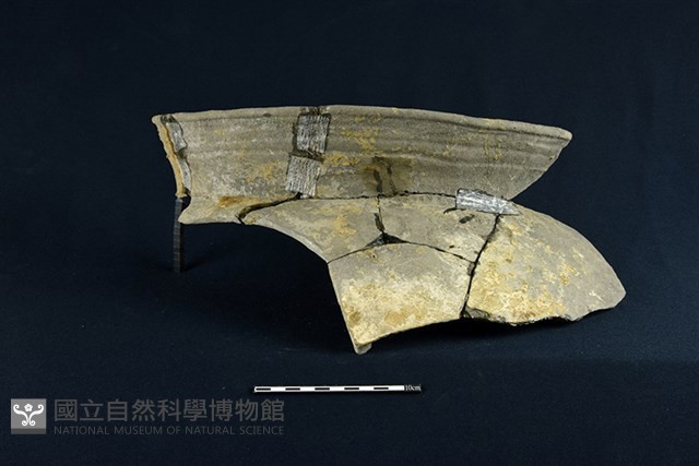 陶罐藏品圖，第1張