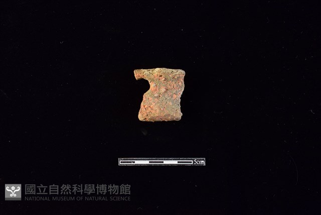 陶片藏品圖，第1張