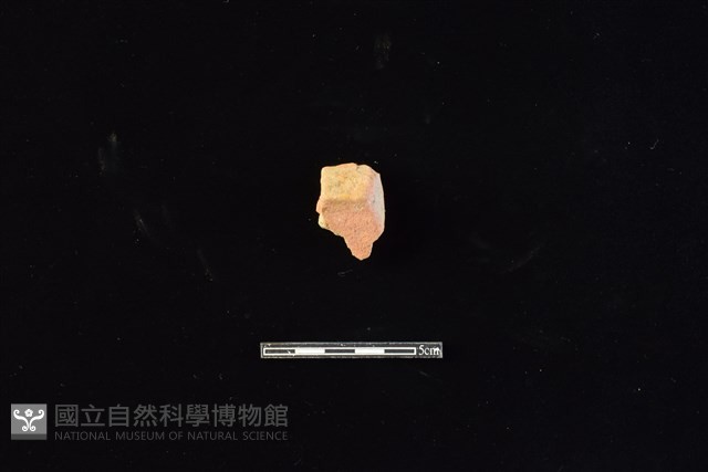 連杯形器藏品圖，第1張