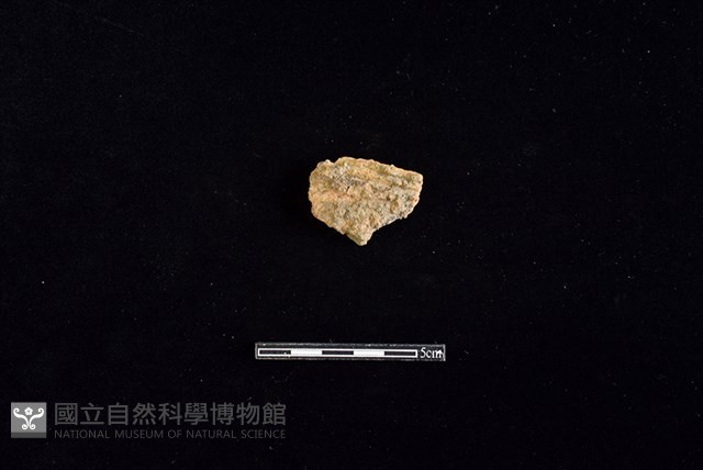 陶片藏品圖，第1張