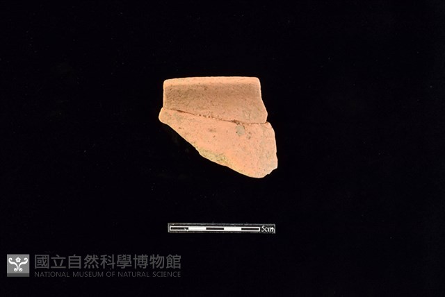 陶罐藏品圖，第1張