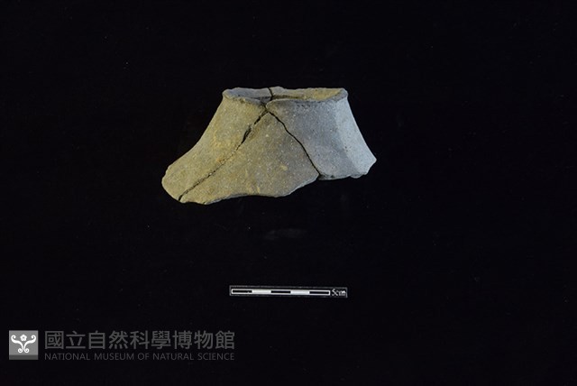 陶片藏品圖，第1張