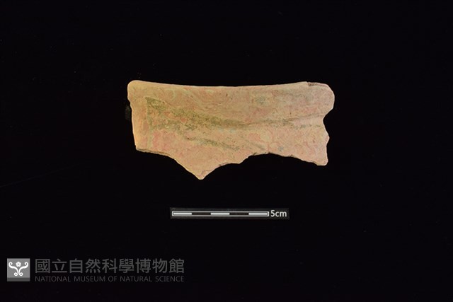 陶罐藏品圖，第1張