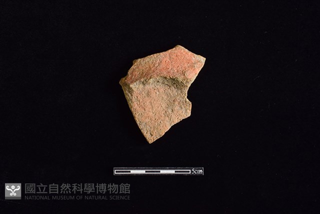 陶片藏品圖，第1張