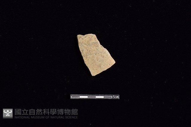 陶片藏品圖，第1張