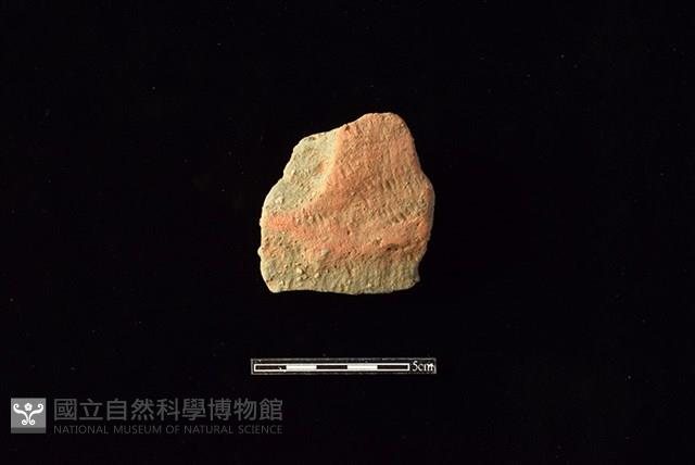 陶片藏品圖，第1張