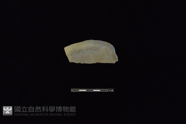 陶片藏品圖，第1張