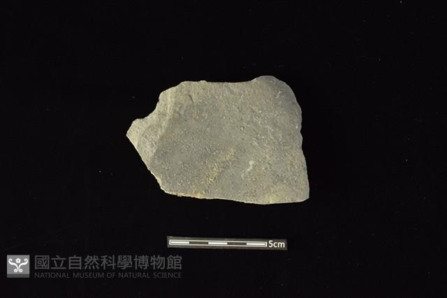 Accession Number:HLL-I PT2366 Collection Image, Figure 1, Total 2 Figures