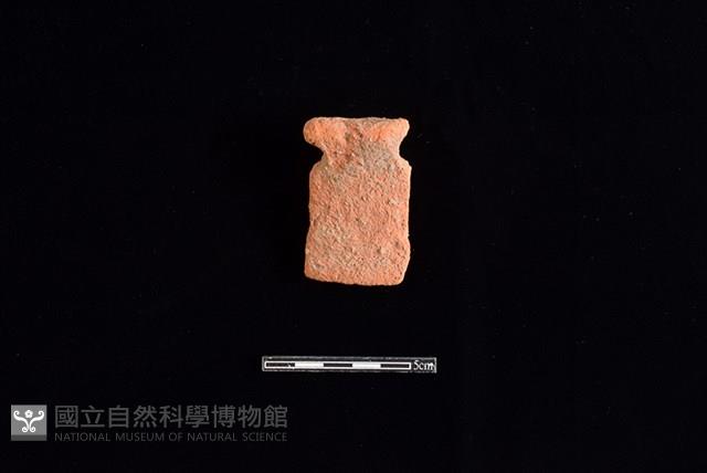 陶片藏品圖，第1張