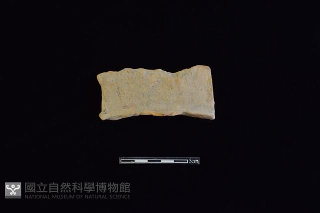 連杯形器藏品圖，第1張