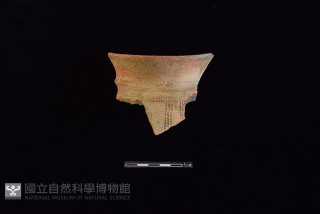 陶罐藏品圖，第1張