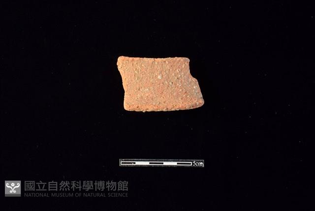 陶片藏品圖，第1張