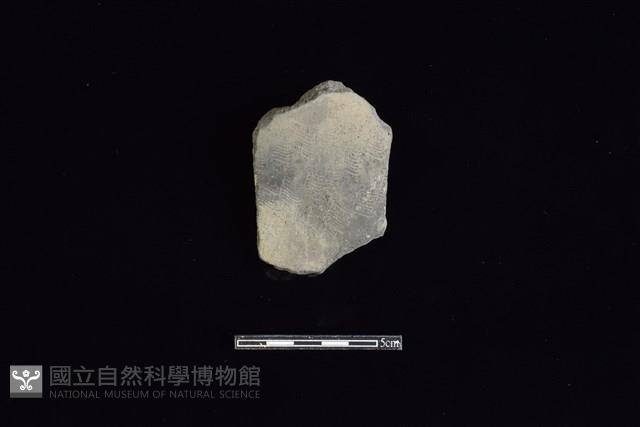 陶片藏品圖，第1張