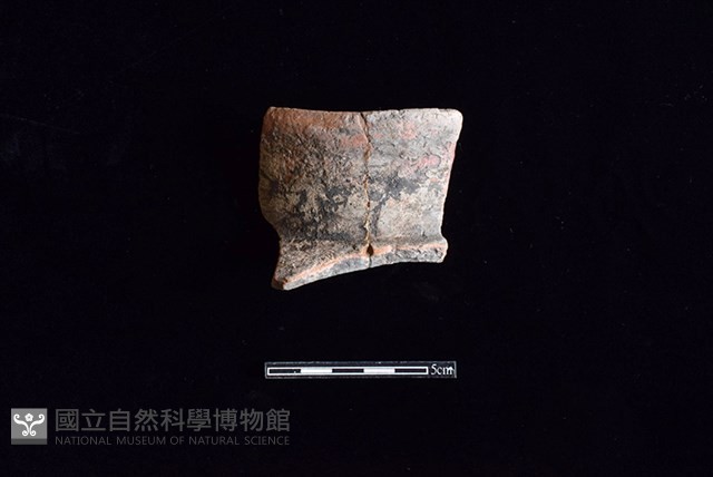 陶罐藏品圖，第1張