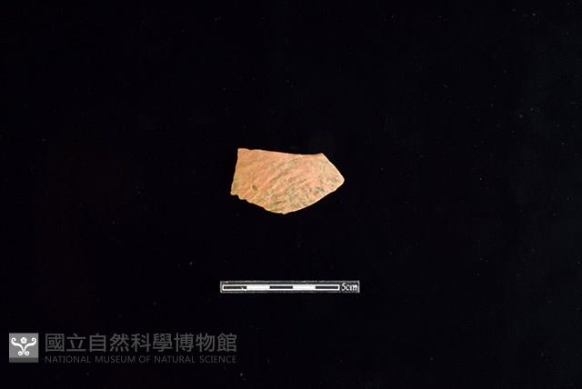 陶片藏品圖，第1張