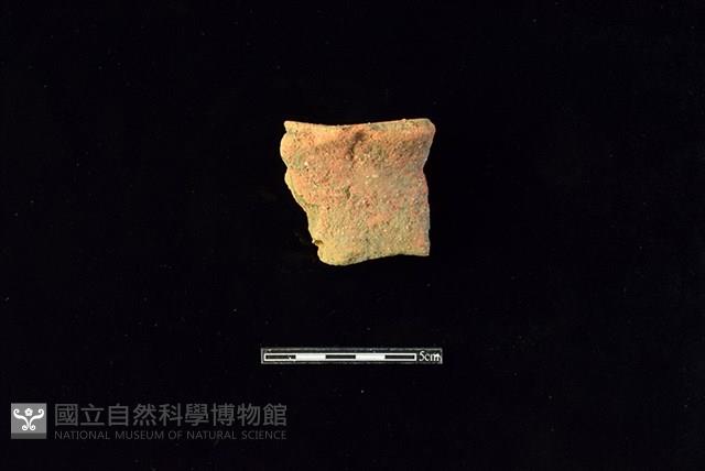 陶片藏品圖，第1張