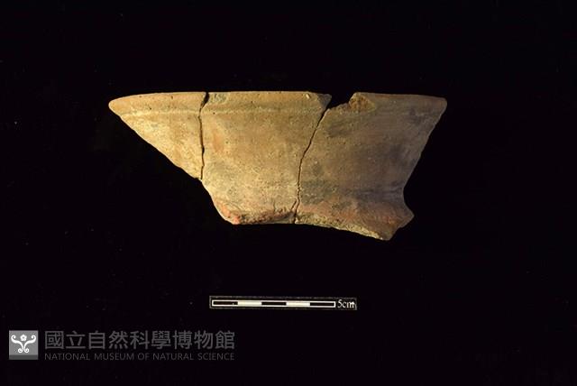 陶罐藏品圖，第1張