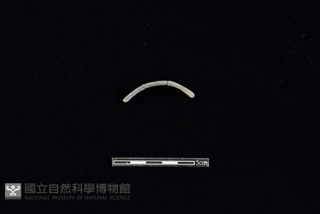 陶環藏品圖，第1張