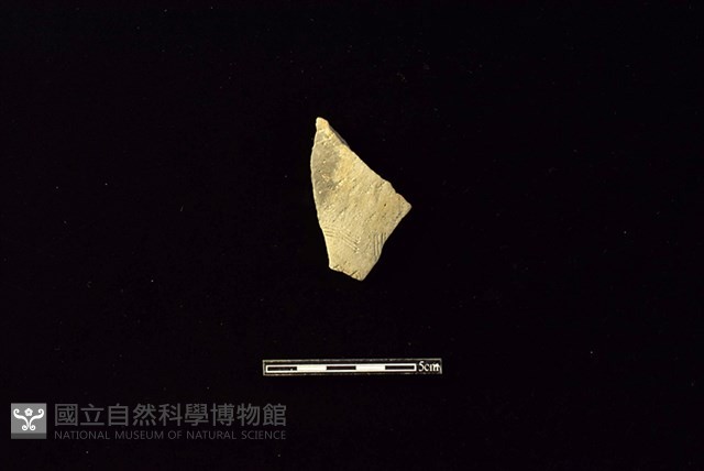 陶片藏品圖，第1張