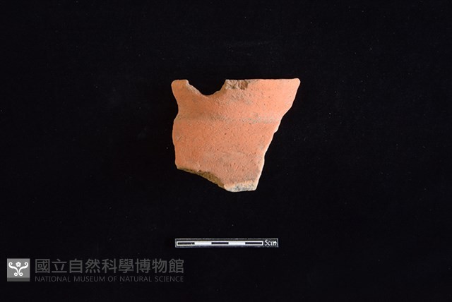 陶罐藏品圖，第1張