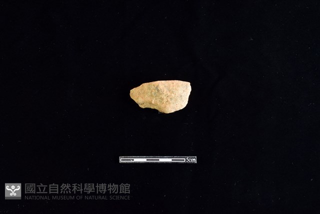 陶片藏品圖，第1張