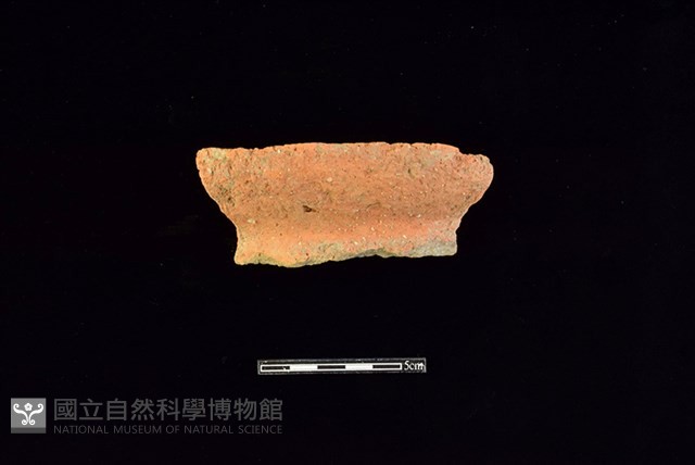 陶罐藏品圖，第1張