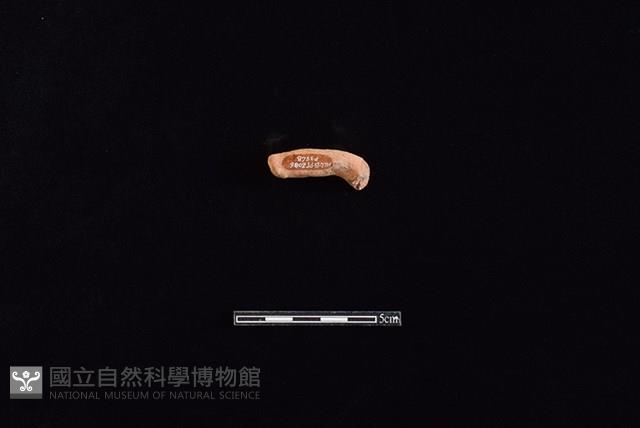 陶把藏品圖，第1張