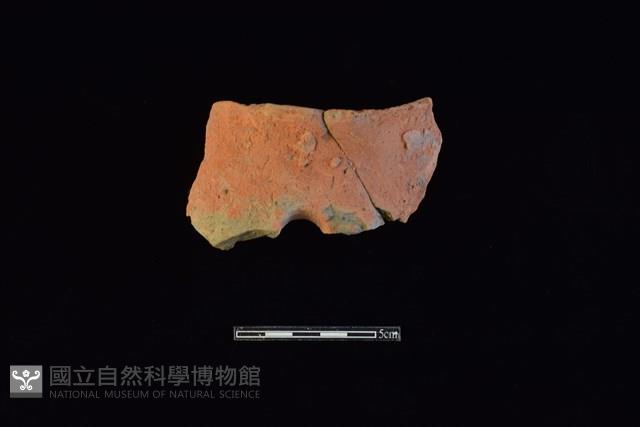 陶片藏品圖，第1張