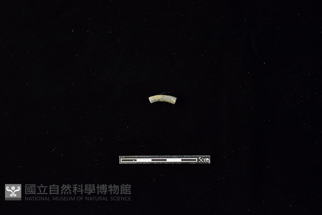 陶環藏品圖，第1張