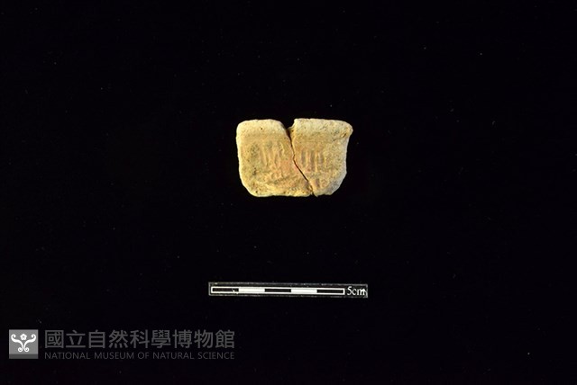 陶罐藏品圖，第1張