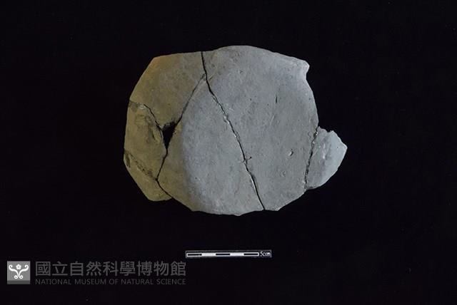 陶片藏品圖，第1張