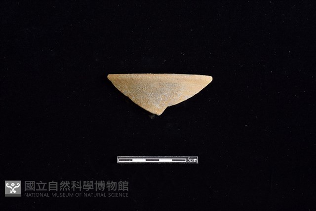 陶罐藏品圖，第1張