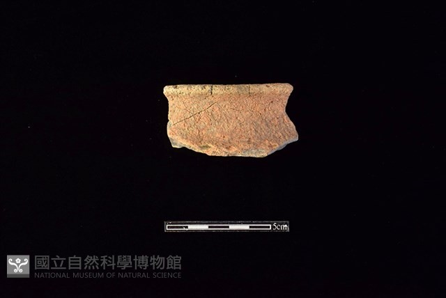 陶罐藏品圖，第1張