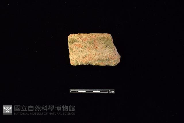 陶罐藏品圖，第1張