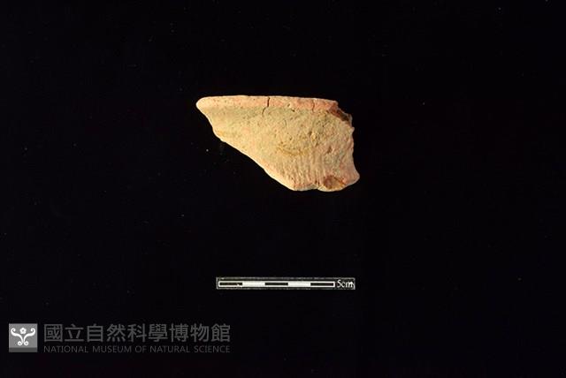 陶罐藏品圖，第1張