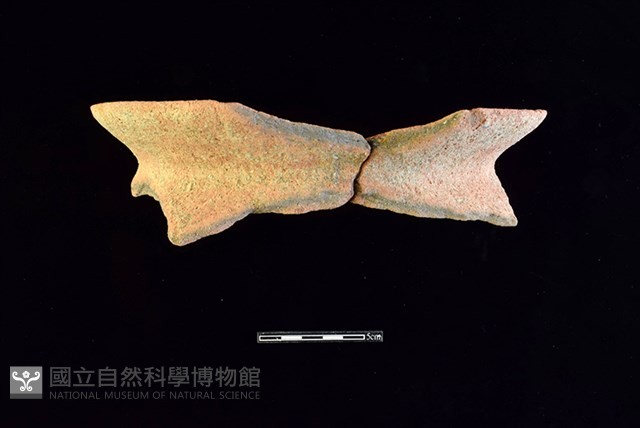 陶罐藏品圖，第1張