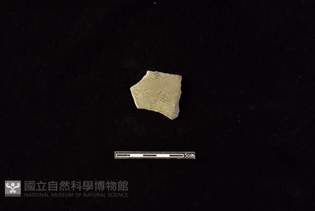 陶片藏品圖，第1張