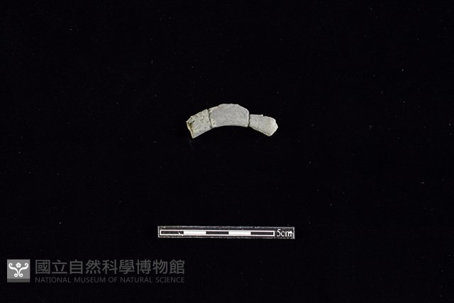 陶環藏品圖，第1張