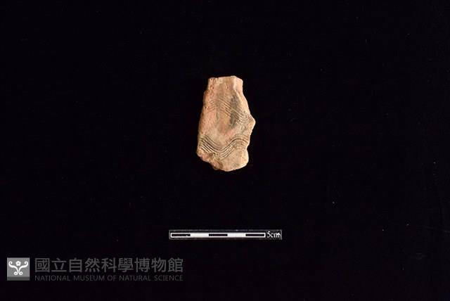 陶片藏品圖，第1張