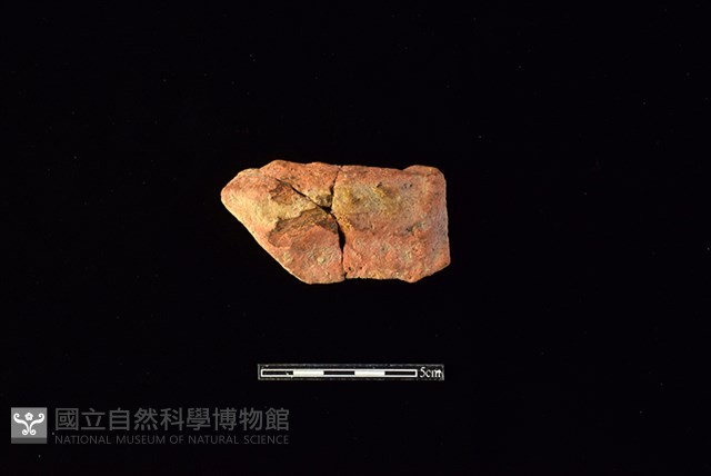 陶片藏品圖，第1張