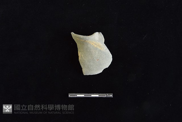 陶罐藏品圖，第1張