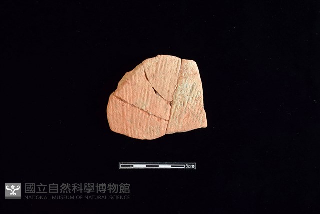 陶片藏品圖，第1張