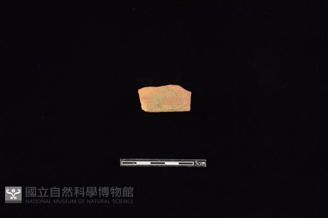 連杯形器藏品圖，第1張