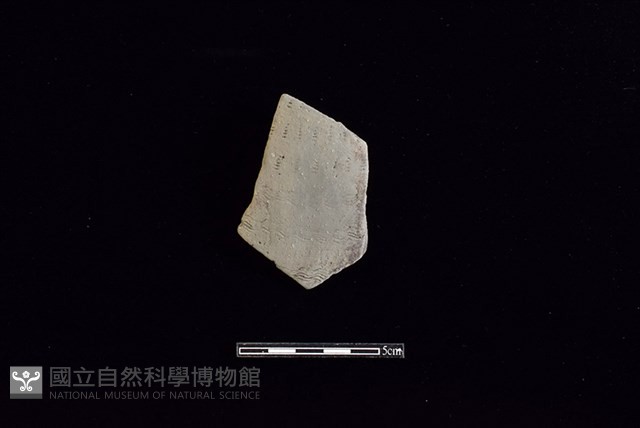 陶片藏品圖，第1張