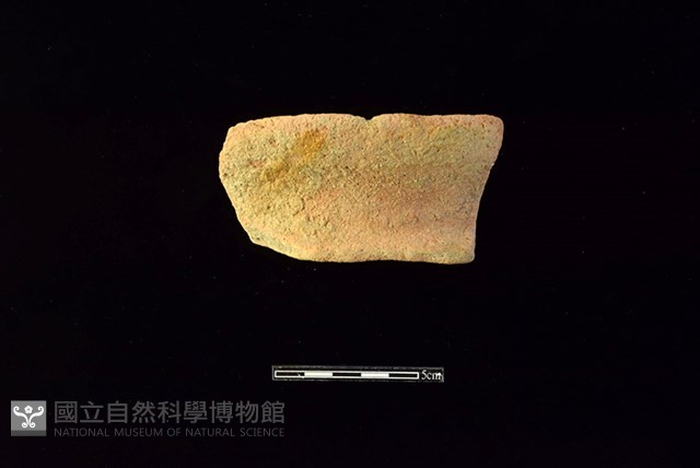 陶罐藏品圖，第1張