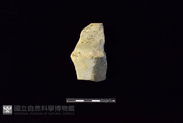 陶片藏品圖，第1張